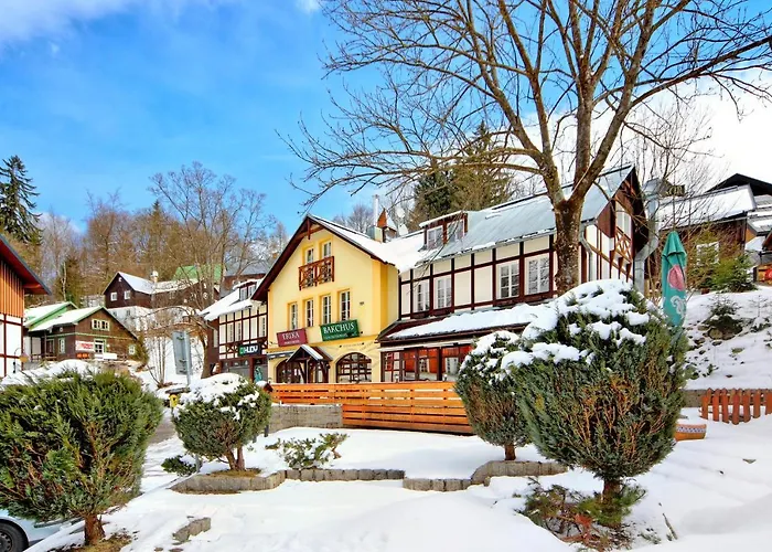 Erika 3* Špindlerŭv Mlýn