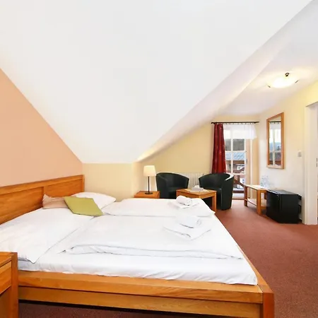 Hotel Erika Spindleruv Mlyn