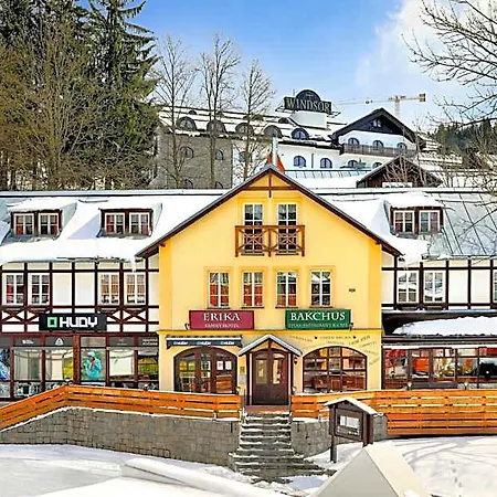 Erika Hotel 3*