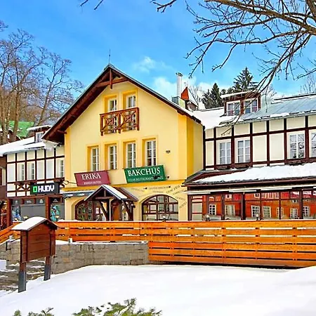 Отель Erika 3*