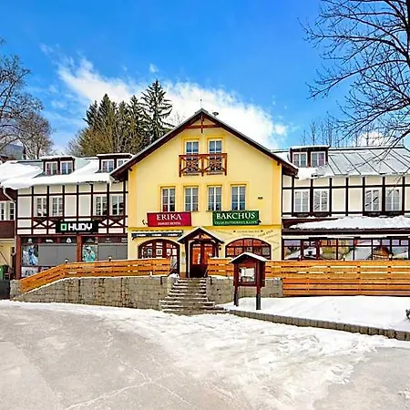 Erika 3* Špindlerŭv Mlýn