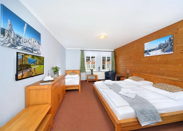 Erika Hotel Špindlerŭv Mlýn